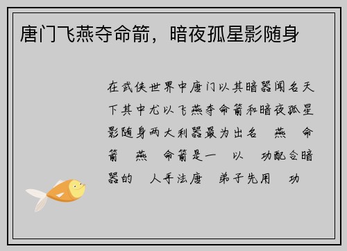 唐门飞燕夺命箭，暗夜孤星影随身